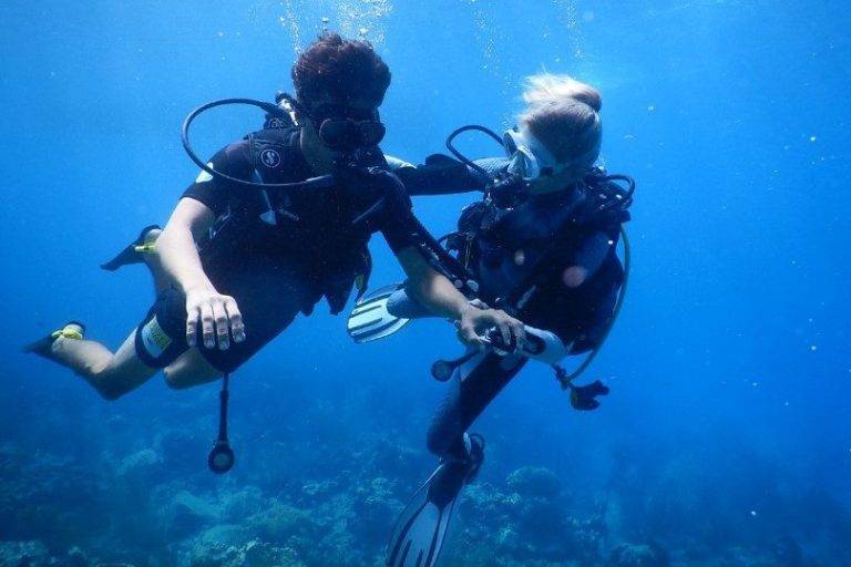 Baptême de plongée - Guadeloupe