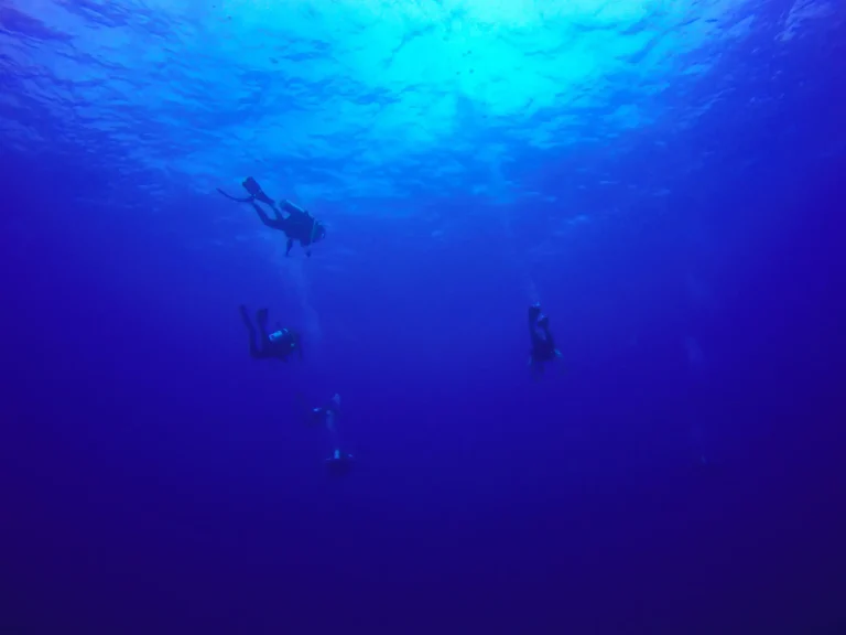 Exploration de la réserve Cousteau - Guadeloupe